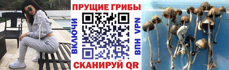 Галлюциногенные грибы Magic Shrooms  Нижнеудинск 