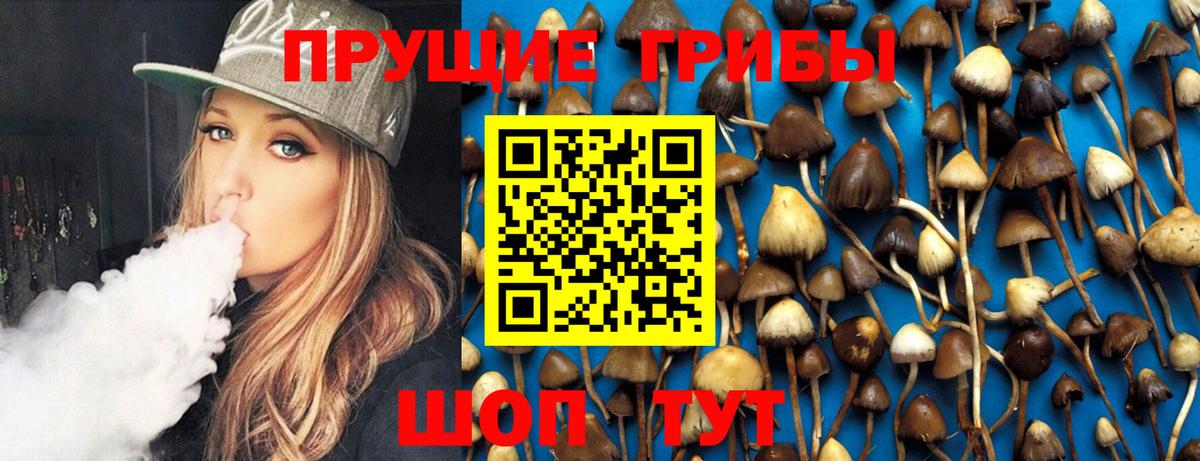 Нижнеудинск  Псилоцибиновые грибы GOLDEN TEACHER  Вход с VPN 